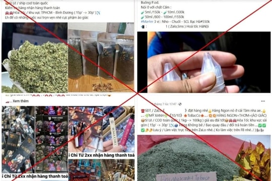 Hai học sinh bị khởi tố vì liên quan đến “cỏ Mỹ”