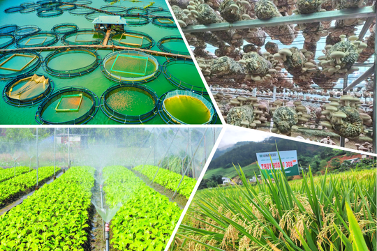 Yên Bái: Đẩy mạnh đào tạo nghề, phát triển kinh tế nông thôn