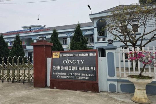 Vì sao CTCP Cromit Cổ Định Thanh Hóa phải nộp hơn 920 triệu đồng?