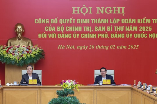 Thành lập các đoàn kiểm tra đối với Đảng ủy Chính phủ, Đảng ủy Quốc hội