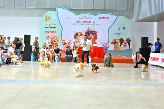 Lễ hội thú cưng lớn nhất Việt Nam diễn ra với nhiều hoạt động hấp dẫn