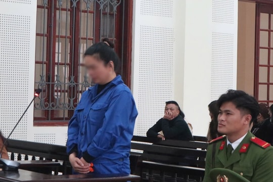 Dùng sổ đỏ giả để lừa đảo chiếm đoạt tiền tỉ