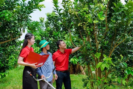 Agribank tăng khả năng tiếp cận vốn cho khách hàng qua tổ vay vốn