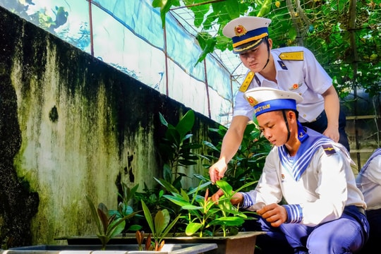 Sơ kết chương trình “Xanh hóa Trường Sa” giai đoạn 2021-2024