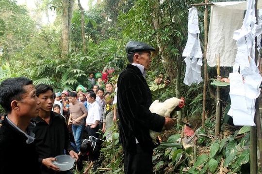Tôn vinh "Lễ cúng rừng của người Mông" tại Nà Hẩu