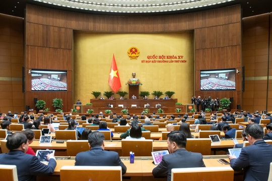 Nghị quyết về tổ chức các cơ quan của Quốc hội