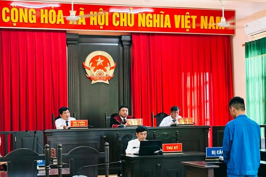 Lãnh án vì gây ra hàng loạt vụ trộm cắp