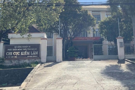 134 cán bộ thuộc Sở NN&PTNT tỉnh Gia Lai xin nghỉ hưu trước tuổi