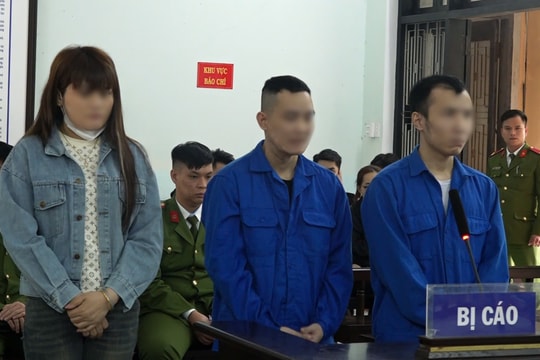 Ba bị cáo trong đường dây mang thai hộ và mua bán thận lĩnh án