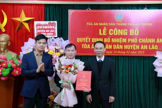Bổ nhiệm Phó Chánh án TAND huyện An Lão