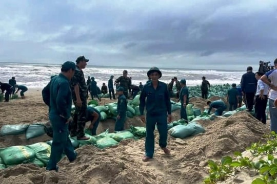 Quảng Ngãi: Huy động lực lượng dùng bao cát khắc phục tạm sạt lở bở biển