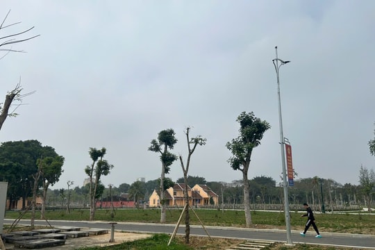 Nhiều sai phạm tại Dự án cải tạo công viên 176,4 tỷ đồng