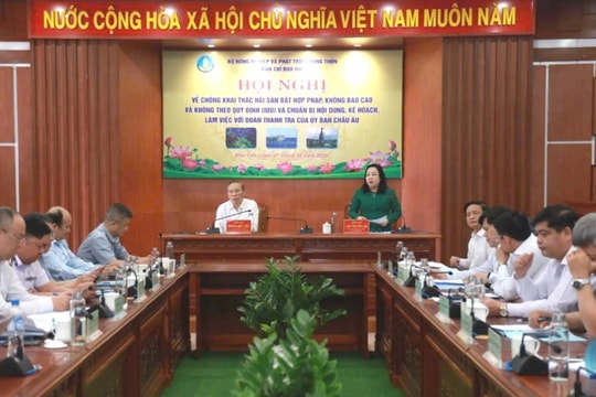 Miền Trung chung sức gỡ “thẻ vàng” của EC