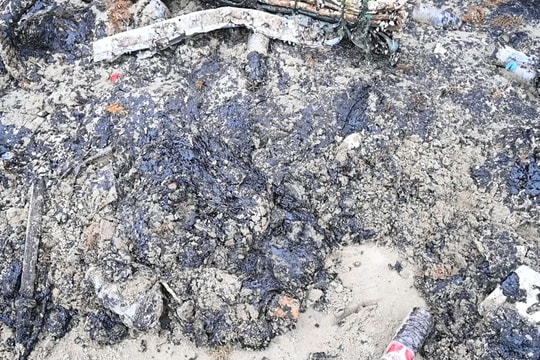 Môi trường ven biển có dầu vón cục trôi dạt như thế nào?