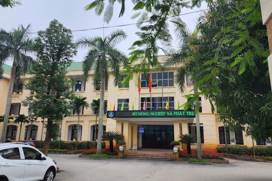 Hồi âm bài báo: Nghệ An 'Vì sao công trình cảng cá Cửa Hội sử dụng không hết công năng?'