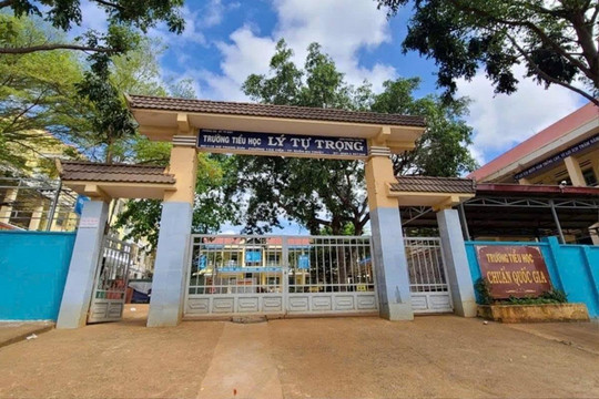 Tạm đình chỉ giáo viên vì bạo lực học đường