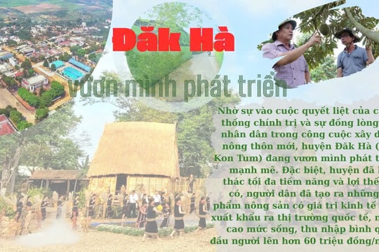 Đăk Hà (Kon Tum): Vươn mình phát triển