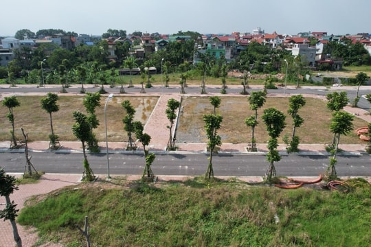 Đấu giá quyền sử dụng đất tại xã Hoàng Hoa Thám, huyện Ân Thi, tỉnh Hưng Yên