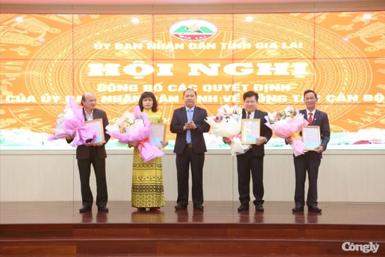 Gia Lai: Nhiều Giám đốc, Phó Giám đốc Sở xin nghỉ hưu trước tuổi