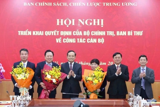 Điều động, bổ nhiệm 3 Phó Trưởng Ban Chính sách, chiến lược Trung ương