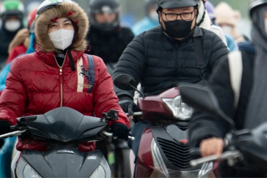 Chủ động ứng phó không khí lạnh gây rét đậm, rét hại