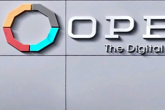 OPES lọt top 4 công ty bảo hiểm phi nhân thọ về vốn điều lệ