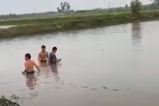 Rủ nhau tắm ao, 2 học sinh tiểu học đuối nước