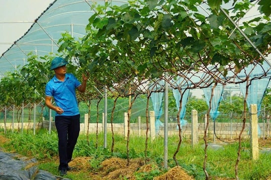 Như Thanh: Bứt phá trong việc xây dựng nông thôn mới