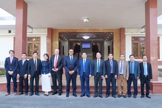 Cam kết ưu tiên tuyệt đối với dự án điện gió 4,6 tỷ USD