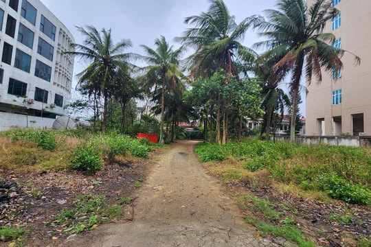 Đề nghị thu hồi hơn 2.000 m2 đất vàng bên đại lộ Bình Minh