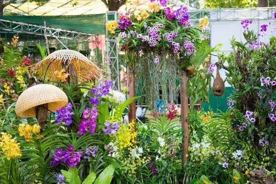 Festival hoa lan TP.HCM lấy cảm hứng từ hai đoàn tàu Thống Nhất