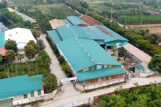 Hàng loạt kho xưởng mọc lên trong khuôn viên Trung tâm phục hồi chức năng: Cần làm rõ trách nhiệm quản lý