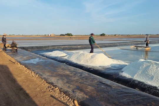 Đảm bảo sinh kế, nâng cao thu nhập cho diêm dân