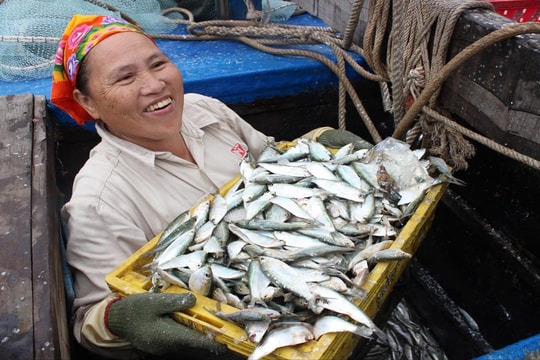 Khi cơm áo lấn át ngày yêu thương