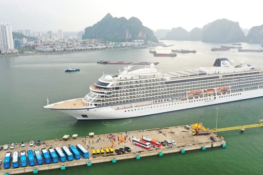 Quảng Ninh đón trên 20 chuyến tàu biển chở 26.000 khách quốc tế