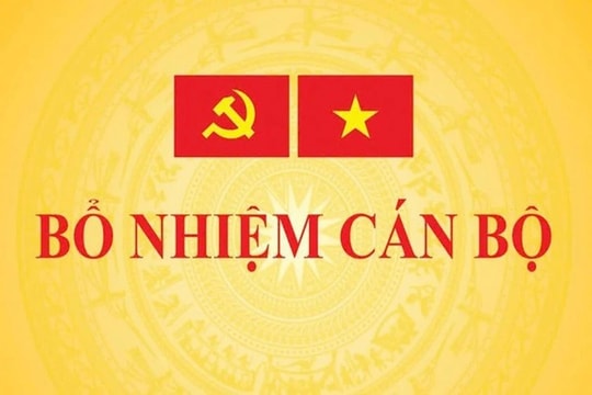 Bộ Chính trị: Tạm dừng bổ nhiệm cán bộ tới khi hoàn thành sáp nhập một số tỉnh
