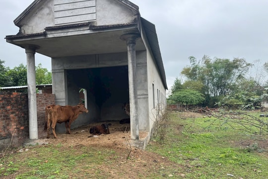 Bình Định: 'Ồ ạt' xây dựng chờ đền bù để trục lợi