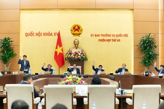 Ủy ban Thường vụ Quốc hội tán thành giảm tiền thuê đất năm 2024