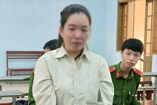 Đưa thông tin gian dối, lừa đảo 6,5 tỷ đồng