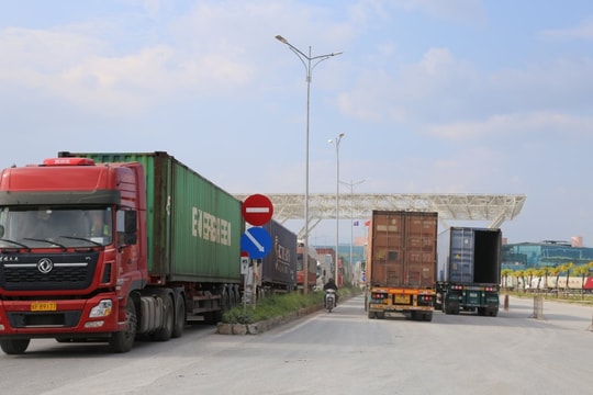 TP Móng Cái thu xuất nhập khẩu đạt 401,62 tỷ đồng