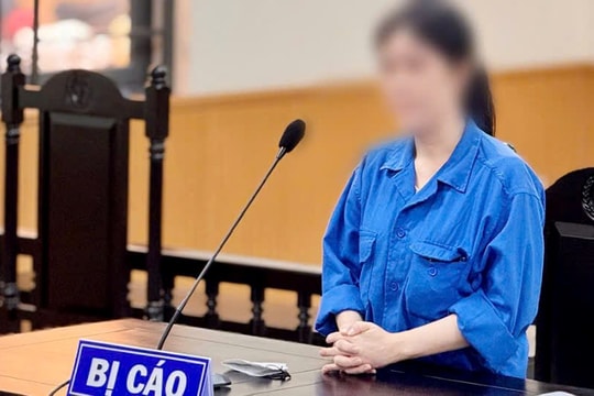 Lừa đảo chiếm đoạt tài sản, nữ nhân viên ngân hàng lĩnh án