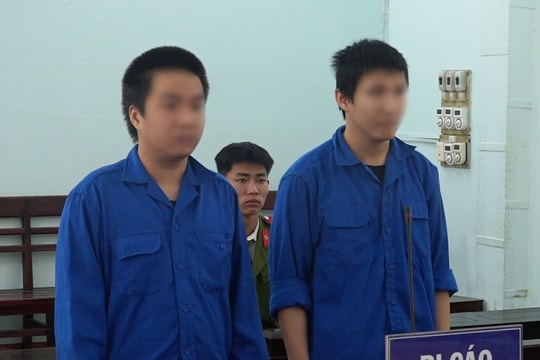 Bán hàng cấm để 'mưu sinh', hai đối tượng lĩnh án