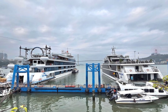 Quảng Ninh: Kiên quyết xử lý vi phạm giao thông đường thuỷ