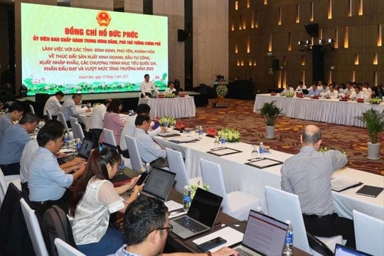 Phó Thủ tướng Hồ Đức Phớc làm việc với 3 tỉnh miền Trung