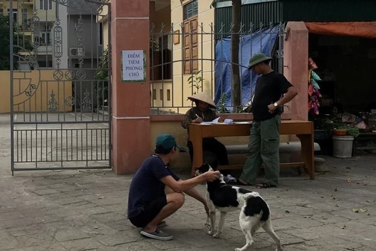 Chủ động các biện pháp phòng ngừa bệnh dại