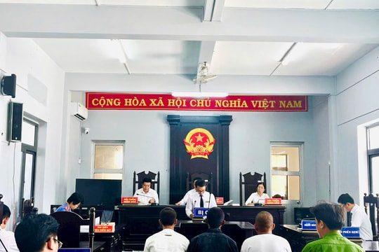 Hỗn chiến, 3 anh em cùng lĩnh án