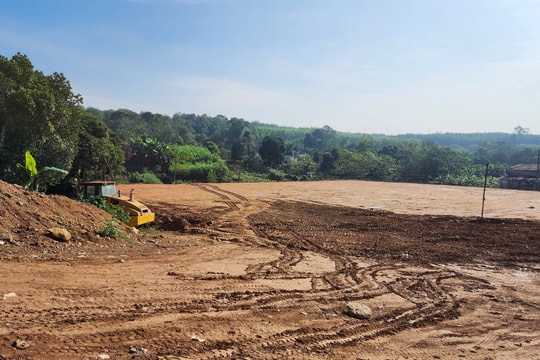 Cấm Công ty Cổ phần Xây dựng P&T tham gia đấu thầu trong thời gian 1 năm