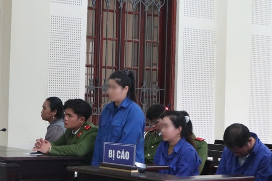 Từ yêu đến tội: Màn biện hộ đầy uẩn khúc của cặp tình nhân