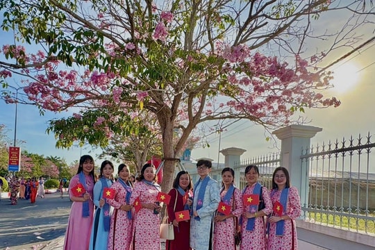 Đường hoa kèn hồng "đẹp nhất miền Tây"