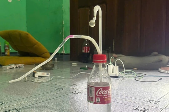 Tổ chức sử dụng ma túy, hai đối tượng lĩnh án